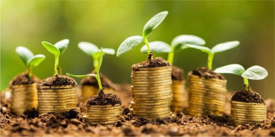 5 types of mutual funds